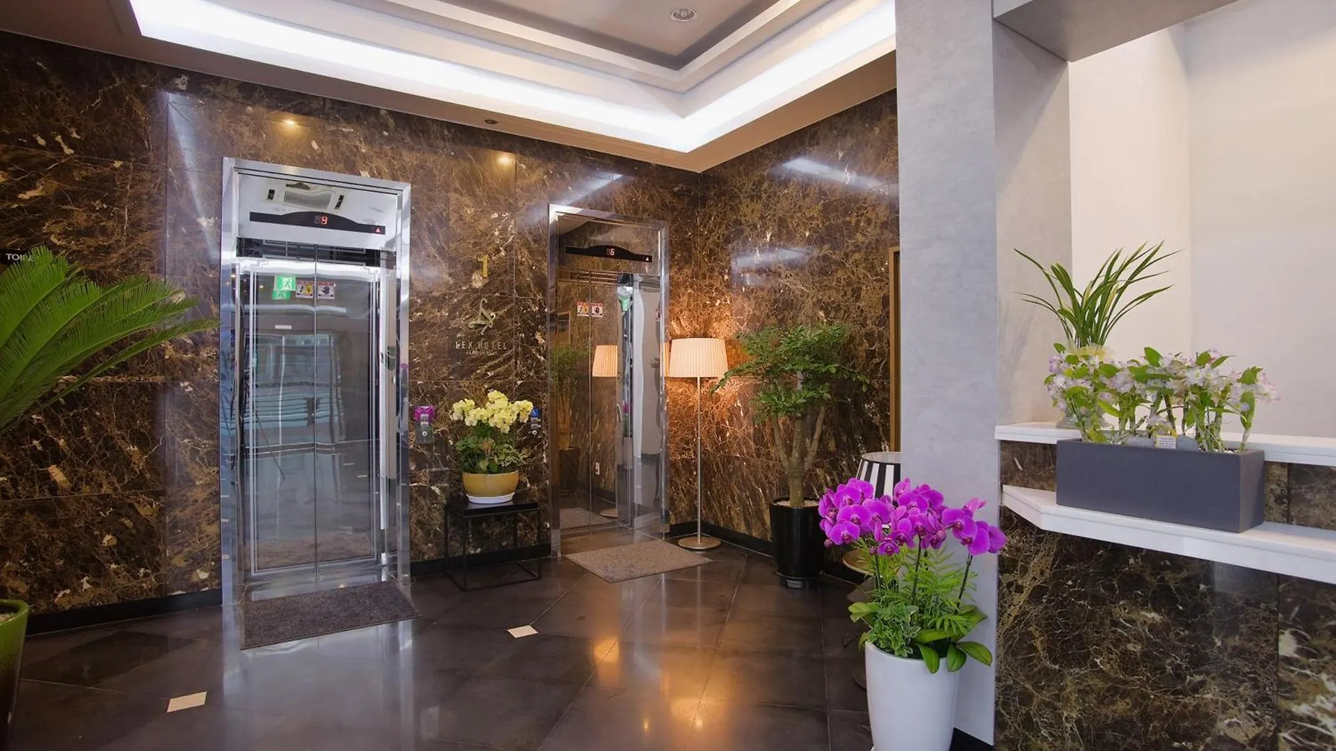 Lex Tourist Hotel Seoul South Korea